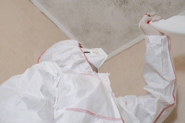 Best Insurance-Related Mold Remediation in Delavan, WI